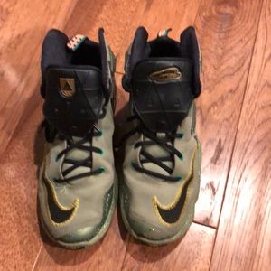 Nike LeBron James basketball shoes